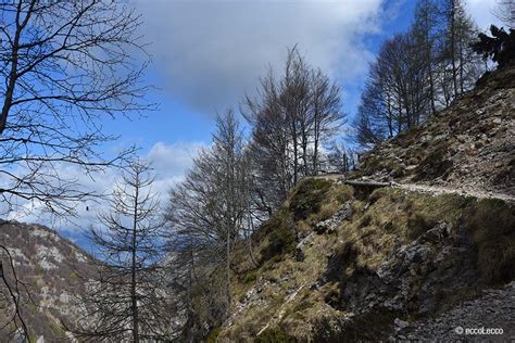 Sentiero dal Cainallo al Rifugio Bogani .